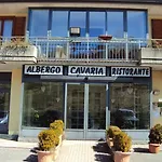 Cavaria 2*